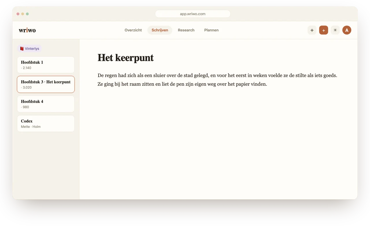 Het schrijfvlak